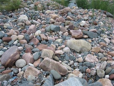 河北 批发鹅卵石 鹅卵石厂家 文化石鹅卵石