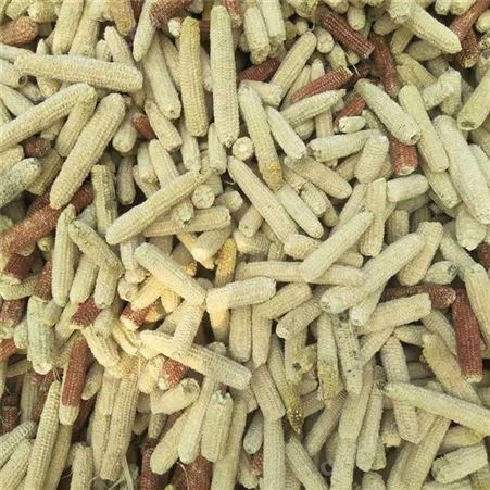 玉米芯玉米芯 植物性饲料 玉米芯厂家    支持定制