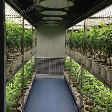 人工气候室设计安装厂家 DX3432人工气候室水培蔬菜 定制品牌中农智造