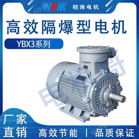 崇左皖南电机总代理YBX3系列隔爆型三相异步电动机-30KW/37KW