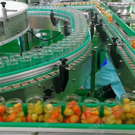 草莓罐头生产线 尼为机械自动化水果罐头加工设备