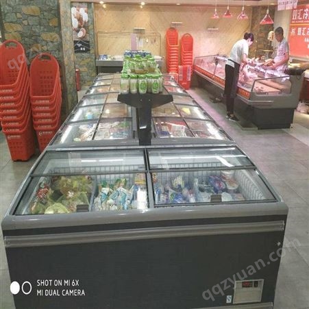 雪迎新款风幕柜保鲜柜冷冻展示柜 超市商用铜管冷柜 玻璃门岛柜