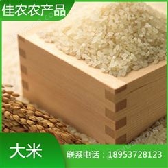 山东大米厂家现货直销珍珠米 圆粒大米 * 量大从优