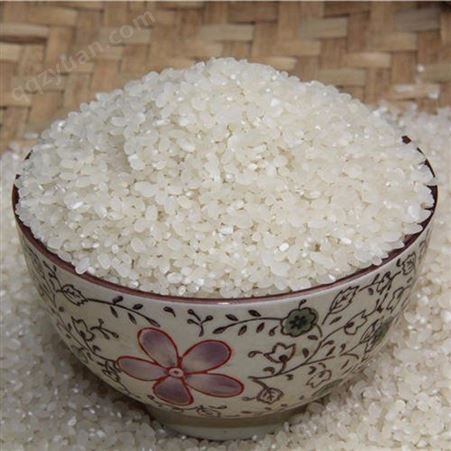 山东大米供应 圆粒大米 珍珠米 米厂直供