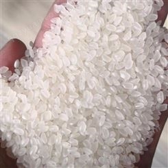 山东大米供应 圆粒大米 珍珠米 米厂直供