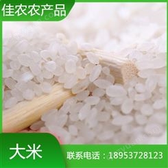 山东大米厂家大量现货直销鱼台圆粒大米 珍珠米 精选大米 超市用米 量大从优