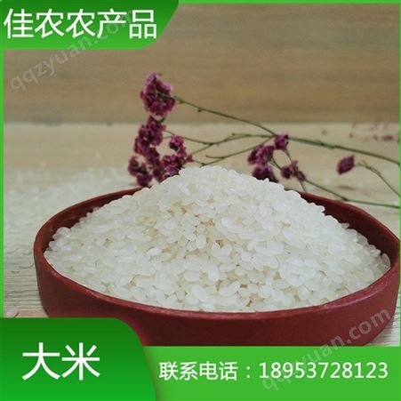 大米 鱼台珍珠米 圆粒大米 白米粥米 精选白米
