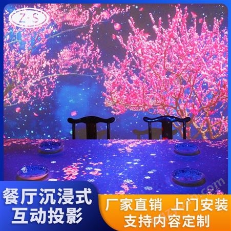 广州裸眼3D餐厅全息投影 全新视觉体验 互动投影设备厂家