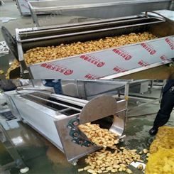 宜嘉食品机械 多功能蔬菜清洗机 土豆毛辊清洗机