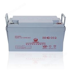 储能型蓄电池厂家生产定制_输出电压|12VDC