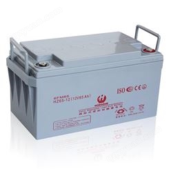 固定型蓄电池厂家订做_输出电压|12VDC