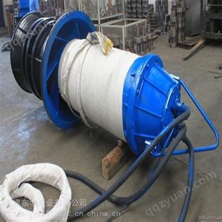 河道强排水 潜水轴流泵-农业排涝潜水轴流泵天津东坡泵业