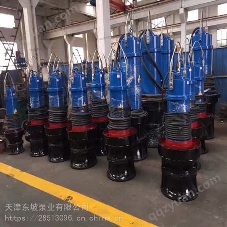 天津东坡轴流泵 水库排水轴流泵 便携式潜水泵