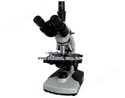 简易偏光显微镜-11