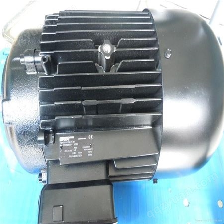 布幔brinkmann泵STA1002/290