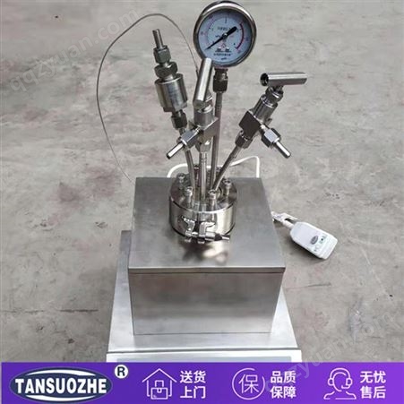 TSZ-3C/D电动搅拌反应釜设备 小型台式高压反应釜 不锈钢反应釜仪器
