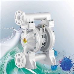 意大利RAASM隔膜泵2A4/2677NHI泵145L/min流量