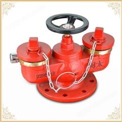 颖龙消防器材SQD系列多用式消防水泵接合器-地下式