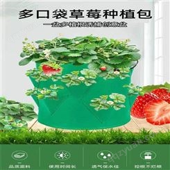 多口草莓种植袋3 6口8口植物袋毛毡布香草袋彩色种植袋