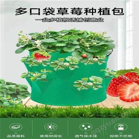 种植袋新款易携带可定制毛毡种植桶草莓土豆蔬菜植物育苗种植带