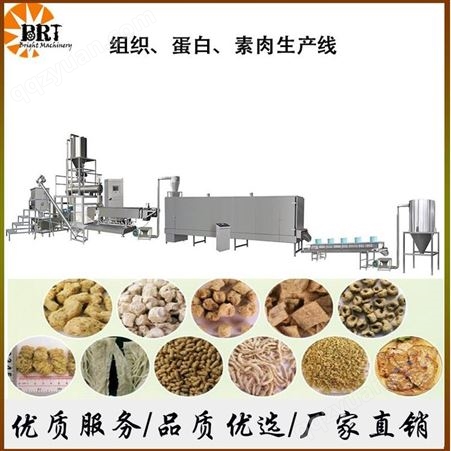 工厂实地生产 大豆组织蛋白生产线 拉丝素肉蛋白膨化机 济南比睿特机械