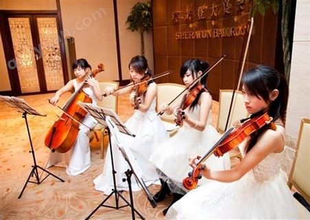 珠海小提琴表演，珠海提琴演出暖场，珠海提琴四重奏