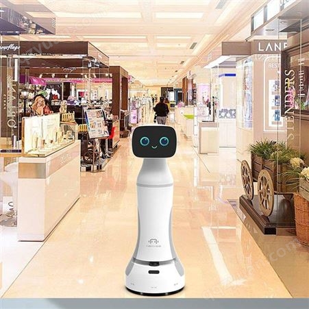 BUDDY服务机器人厂家-零售服务机器人出售-智慧迎宾机器人