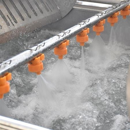 杰尔古格 桔子清洗打蜡加工设备 柑橘前处理生产线