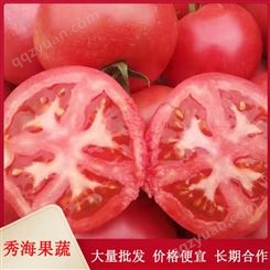 露天沙瓤西红柿 大番茄 洋柿子 既食当季