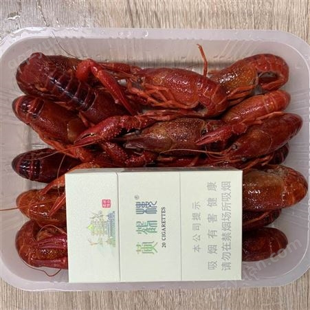 潜江鲜活速冻清水虾冻虾34钱规格50斤冷冻冰鲜整肢小龙虾内销出口