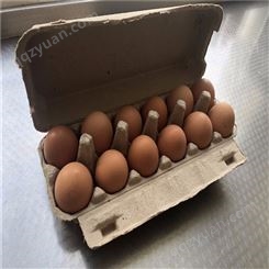 12枚鸡蛋保护托-山东卓尔纸塑-厂家批发