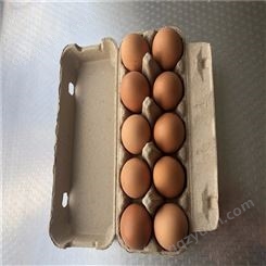 10枚鸡蛋保护托-山东卓尔纸塑-出售