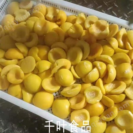 山东工厂直销鲜果速冻冷冻83黄桃批量出售