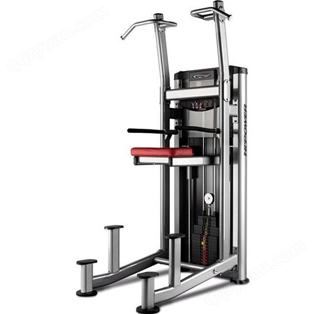 必艾奇（BH） L450辅助式引体向上训练器健身房专项多功能训练器健身器材