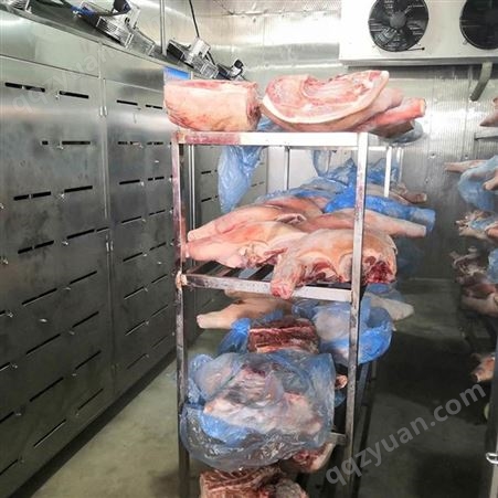 冻肉缓化解冻机 冻肉原料低温高湿解冻机 冻牛肉解冻库 隆力达高湿低温解冻机价格
