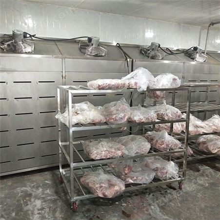 牛肉解冻设备 猪腿低温高湿解冻机 山东肉类解冻缓化设备 隆力达厂家定制
