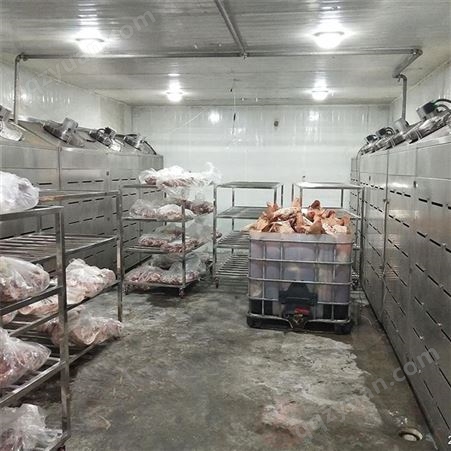 牛肉解冻设备 猪腿低温高湿解冻机 山东肉类解冻缓化设备 隆力达厂家定制