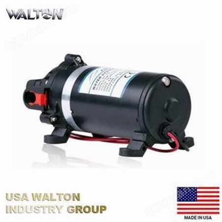 进口微型电动隔膜泵- 沃尔顿WALTON 美国中国代理商