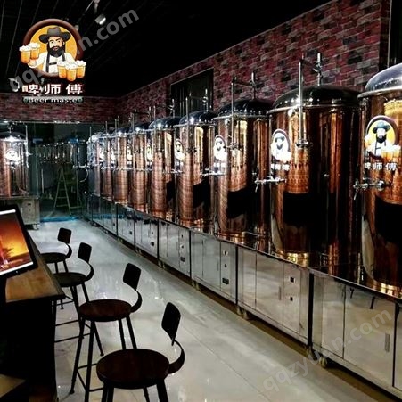 厂家直营精酿啤酒设备酒馆酒吧  飞马打酒手工精酿啤酒机器报价