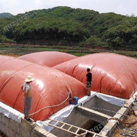 润龙红泥沼气发酵袋养猪场粪便处理养殖场污水处理
