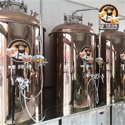 鲜啤酒酿造设备_啤酒设备精选_糖化发酵设备报价