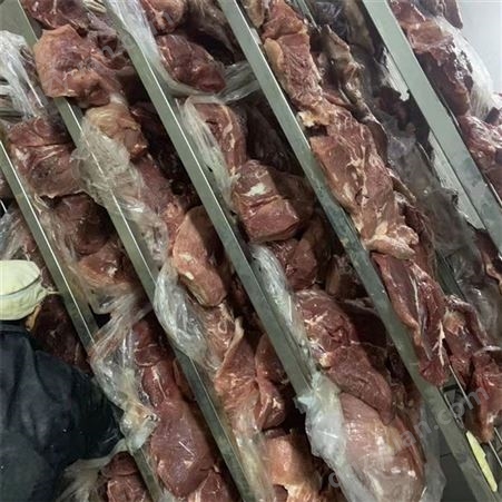 晟鸿定制冻肉低温高湿化冻设备  冻牛肉低温高湿化冻机  大块冻肉缓化库