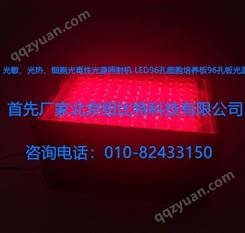 光敏、光热、细胞光毒性光源照射机 LED96孔细胞培养板96孔板光源 红光led