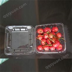 樱桃吸塑托盘 PVC吸塑厂家 定制樱桃水果托盘 水果类吸塑托盘