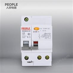 中国人民电器RDX65LE-63 C63 1P+N TC剩余电流动作断路器家用漏电保护开关