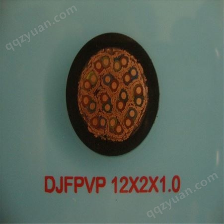 ZR-DJYPVP22-19*2*0.75  铠装双绞计算机电缆 按需定做
