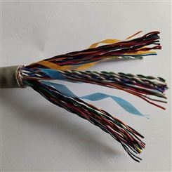 大对数电缆 SBYV24*2*0.5 交换机配线