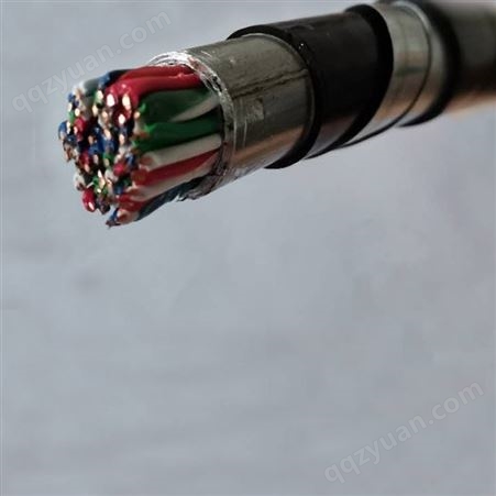 PTYL23-21*1 控制信号电缆 定做 操作规范