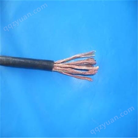 DJVVP19*2*1  双绞计算机电缆 出厂价