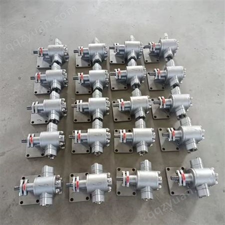 生产厂家 不锈钢齿轮泵 316/304两种材质 齿轮式输油泵 泊头余工